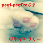 pegi-pegikoさま 専用ギャラリー