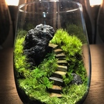 苔テラリウム コケ  LEDライト蓋付き カビ防止ヒバスプレー付き