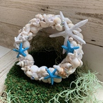 貝殻のリース