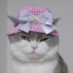 🎀 ピンク麦わら帽子
