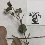 ふくろうちゃんのありがとう