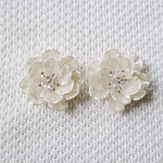 flower flower