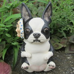 ひょっとこお面被り★ボストンテリア②