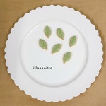 ミニリーフ6枚セット【アイシングクッキー】