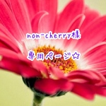 non-cherry様 専用ページ☆