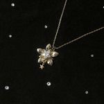 星の花