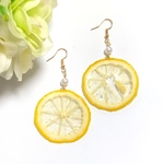 [lemon-pl様専用] 輪切りレモン、レモン、スイカの押しフルーツピアス