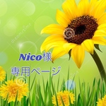 Nico様専用ページ