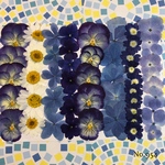♡new♡作家様必見♡ ♡お買い得な押し花セット♡