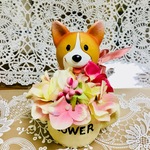 kiyo様専用ページ🐶🍀