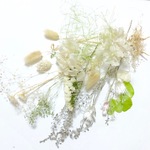 花材12種セット　白　ハーバリウム他