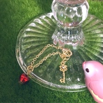＊毒林檎と幸せ呼ぶ鍵チャームnecklace〜かえるのピクルス用＊