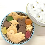 🎁メルヘンクッキー クッキーギフト ブーケ缶 ブルー