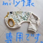 イタグレの服