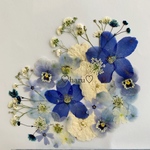 YUYU様専用  押し花素材  ブルーフラワー