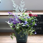 yorabo様専用❁*。大人シックな寄せ植えﾟ･*:.｡❁