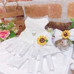 ♡うさぎハーネス♡
