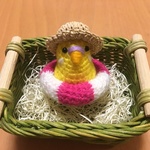 ぴー子さま♡専用☆インコちゃん用♡麦わら帽子&浮き輪セット
