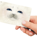 ICカードステッカー　にっこりあざらし