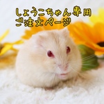 しょうこちゃん専用ご注文ページ