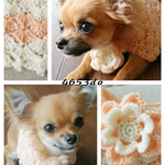 ＜受注生産＞ペット用ケープ　flower