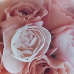 Sサイズ・ロイヤルブルーのバッグ（☆masa6vさま専用ページ☆）