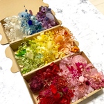 綺麗色8カラー3Box＊ハーバリウム 花材ドライフラワー  花材セット