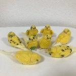 ※専用ページです※maruko47様ご依頼のミニセキセイインコちゃんです。羊毛フェルト