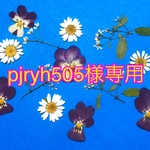 ♡pjryh505様専用♡