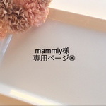 mammiy様専用ページ❁