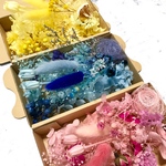 3カラーパート2セット＊お花オマケ入り＊ハーバリウム 花材ドライフラワー  花材セット