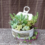 多肉植物リメ缶寄せ植え [ホワイトD]