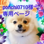 ponchi710様専用ページ