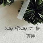 wan9want   様  専用
