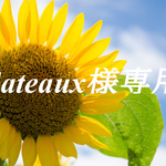【Gateaux様専用】水引の珠　羽衣黄、羽衣銀、プラチナ浅葱色