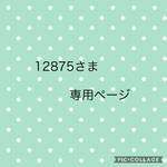 12875さま専用ページ