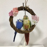 ※専用ページです※gayakiki様ご依頼のウロコインコちゃんと羽衣セキセイインコちゃんのリースです。羊毛フェルト