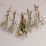 38♥ゆりさん専用