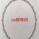 専用ページ
