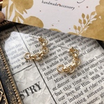 リングピアス＊
