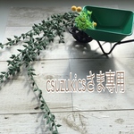 csuzukicsさま専用ページ