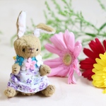 うさぎ の あんよ