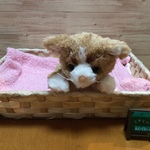 m様オーダーメイド品(赤ちゃん猫縫いぐるみ)