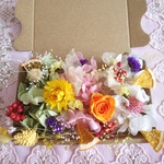 .:*:  ハーバリウム  プリザーブドフラワー花材アソートBOX   