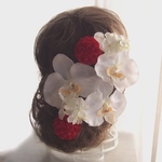 胡蝶蘭  コチョウラン と赤色ピンポンマム、紫陽花の髪飾り♡和婚や前撮り、成人式に