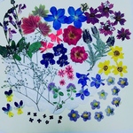【ワンコイン/押花】押し花カラフルセット 花つづみ