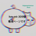 hm-mt-309様専用ページ