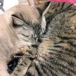 wannyannon様*ﾟ専用ページ