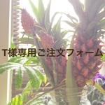 ボタニカルアロマキャンドルバー  