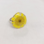 ひなたぼっこの指輪